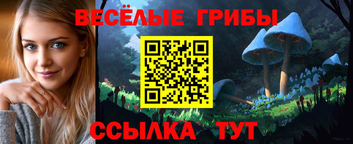 Галлюциногенные грибы прущие грибы Кулебаки